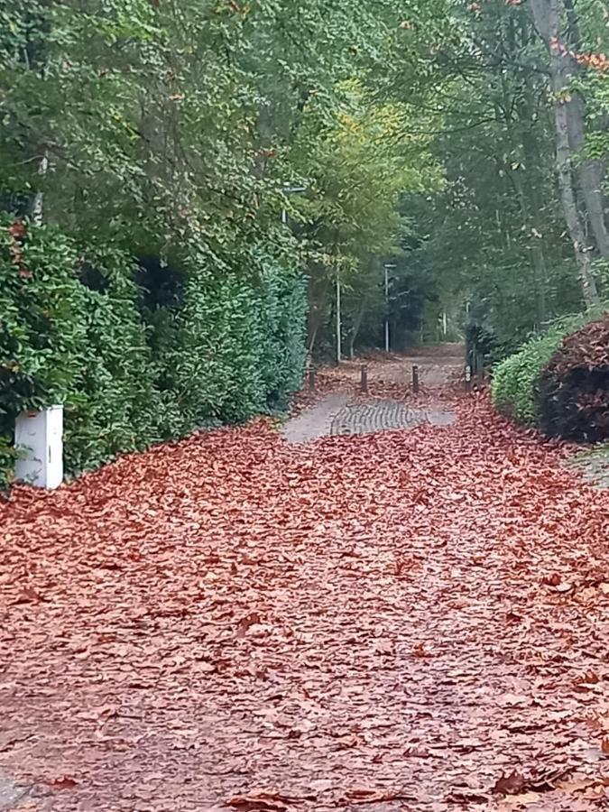 Via Caput Lägenhet Lokeren Exteriör bild